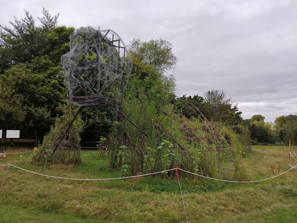 Picture of An Cailleach in Pearse Museum grounds taken 16 August 2022